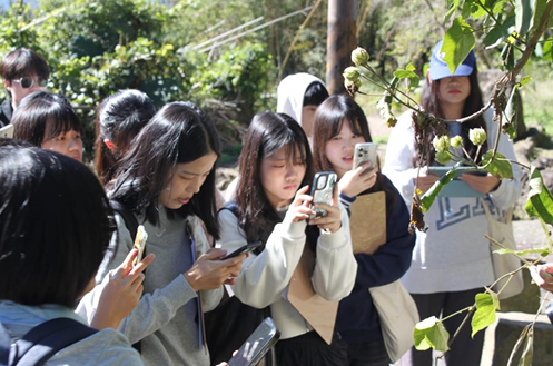 這是一張圖片 這是一張圖片