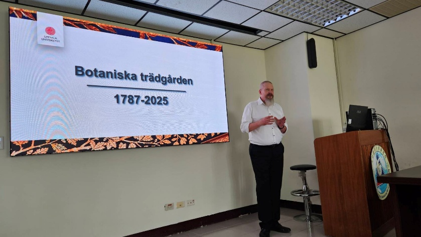 这是一张图片 这是一张图片